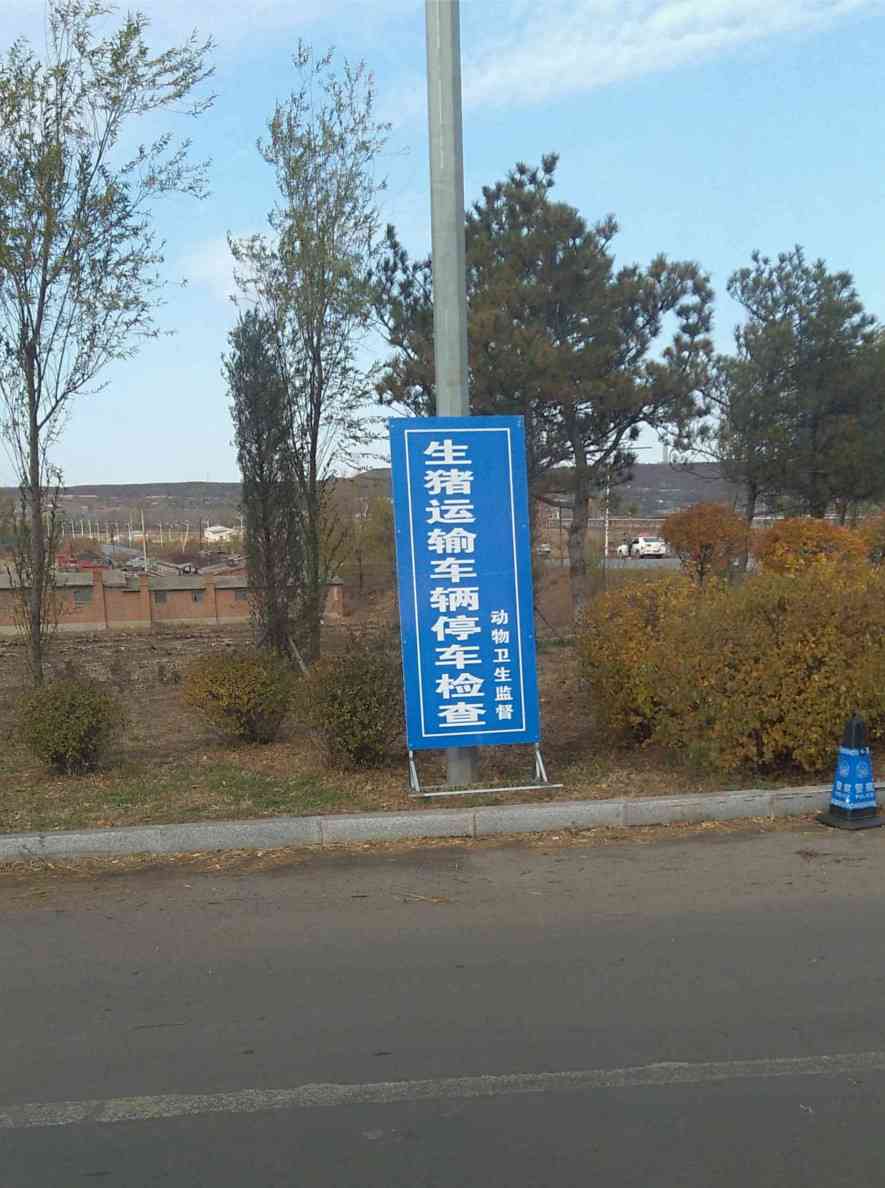 省道某十字路口处立着"生猪运输车辆停车检查"的牌子，没有工作人员
